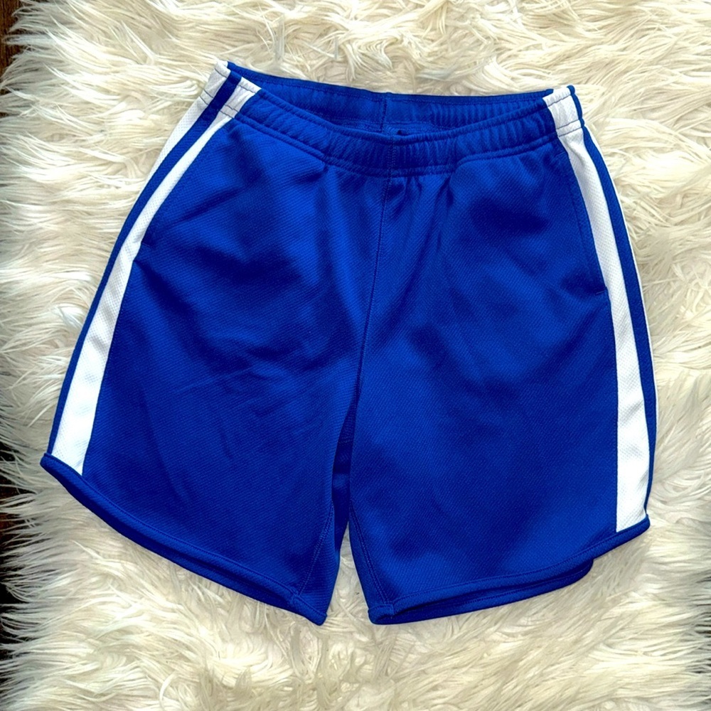 Lands End Blue Athletic Shorts with White Stripes